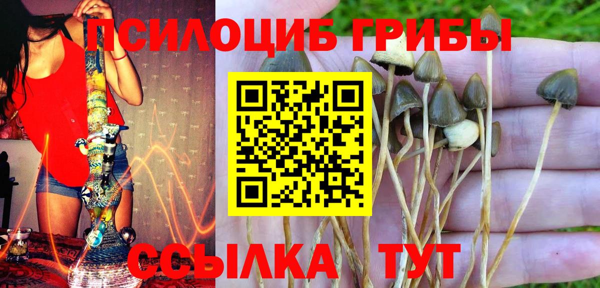 Кстово  Псилоцибиновые грибы GOLDEN TEACHER  Вход с VPN  Галлюциногенные грибы прущие грибы 